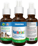 Trauma Relief