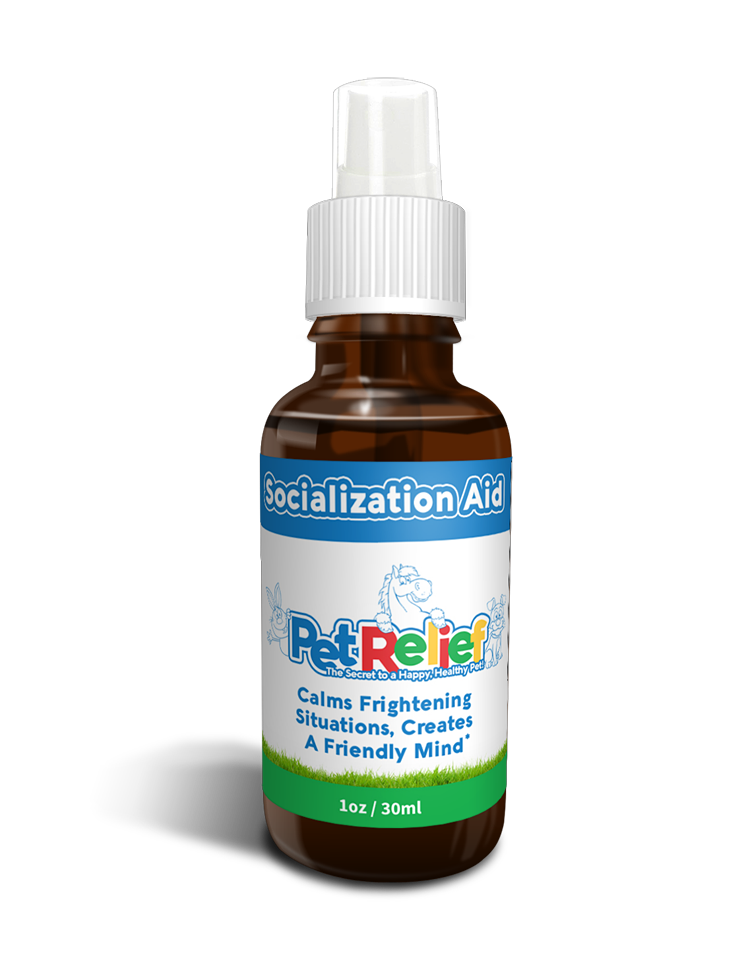 Socialization Aid