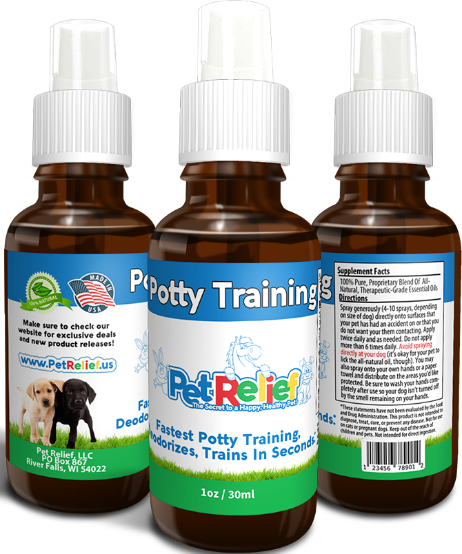 Potty Training