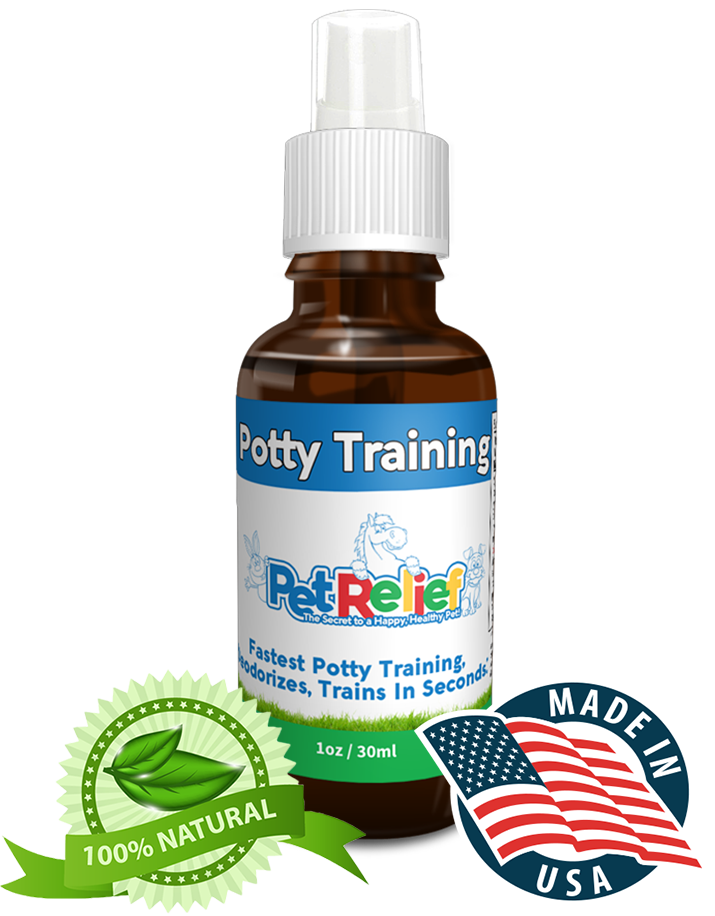 Potty Training